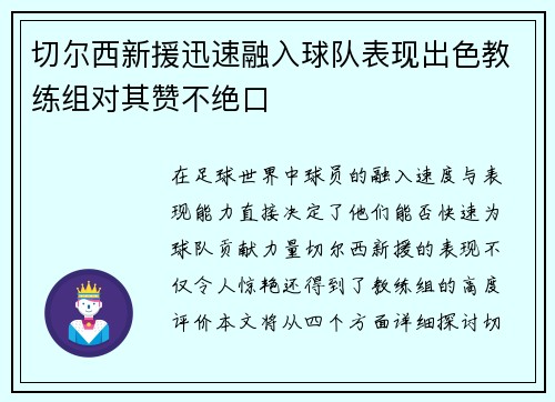 切尔西新援迅速融入球队表现出色教练组对其赞不绝口