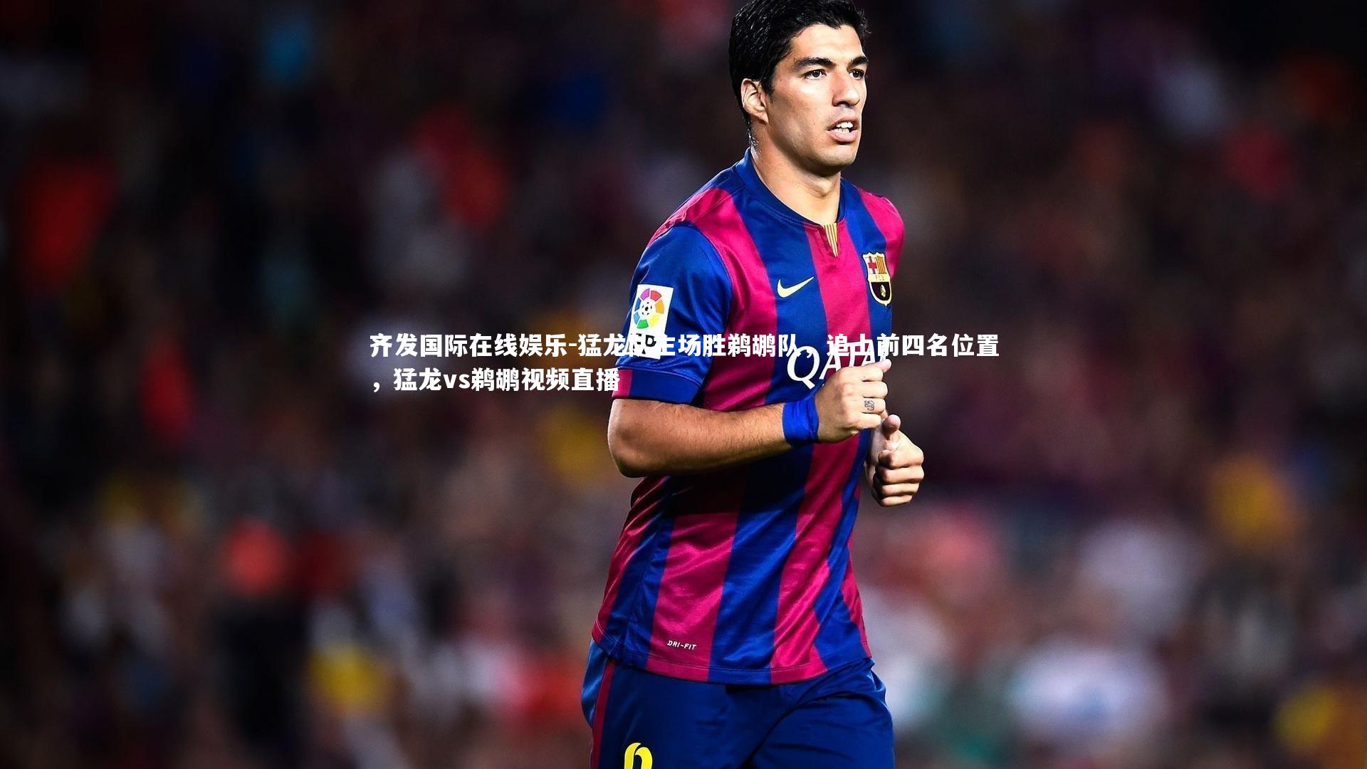 猛龙队主场胜鹈鹕队，追上前四名位置，猛龙vs鹈鹕视频直播